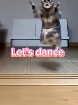 Let’s dance