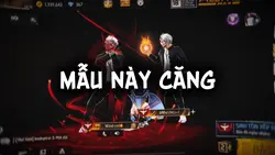 Beat căng 