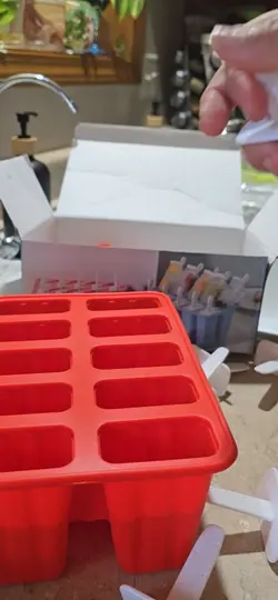 Homemade Popsicle 