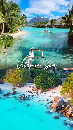 vitamin sea
