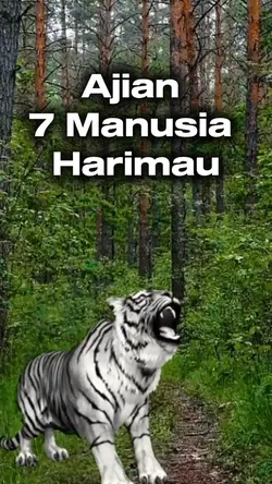 Ajian Harimau My