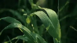 7 Videos Cinematic