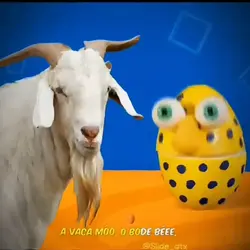 o bode béee edit