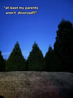 Shut up shut up!!