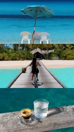 GRID 3