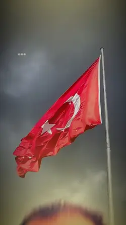 Bizim Memleket