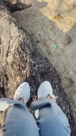 slowmo bulan madu di