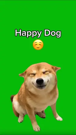 Happy Dog