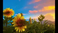 Feel the nature