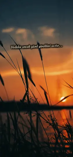 veda şablonu