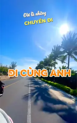 Đi cùng anh