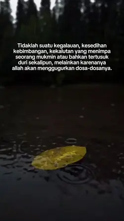 STATUS WA