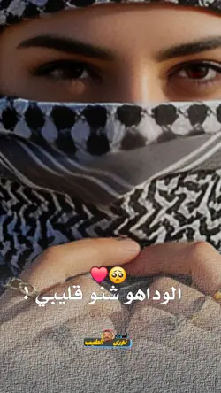 حسين الصادق 