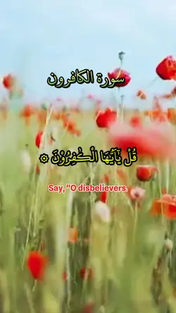 Quran 
Recitation 
