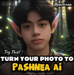 TURN IN TO PASHNEA 