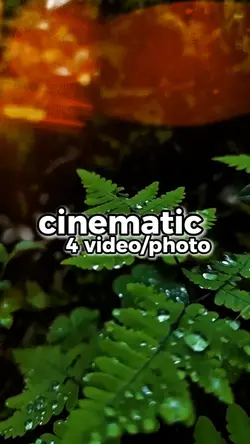cinematic 4 video 