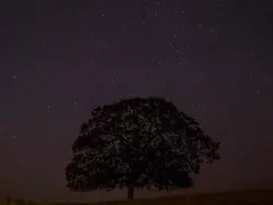 astronomy