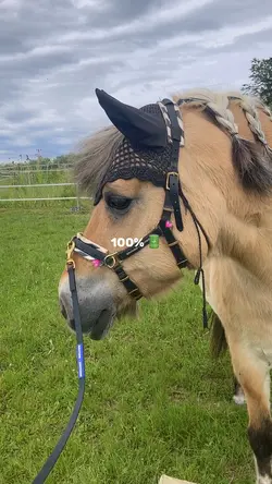💞