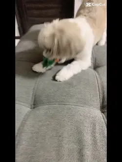 お使いください