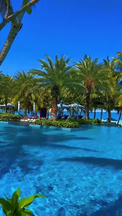 4 videos or photos 