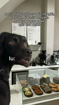 anjing bengong