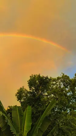 Beauty Rainbow