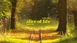 slice of life