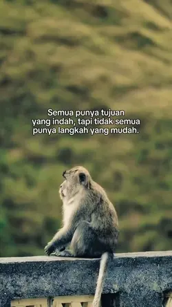 semua punya tujuan