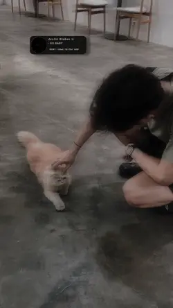 Cry on my shoulder