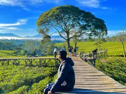 HD + JERNIH 