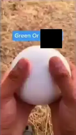 what is it?