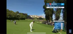 The Tiger woods