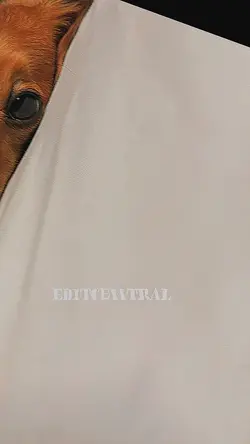 Doggy edit