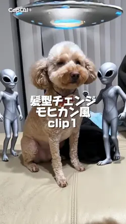 UFOモヒカン髪型チェンジ