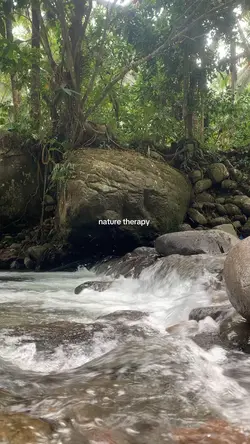 Nature therapy 