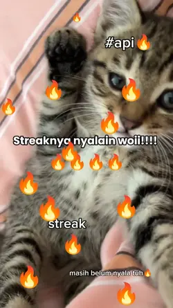 nyalain streaknya do