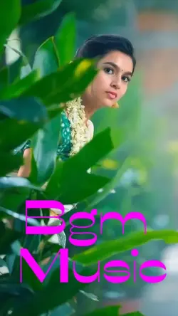 Bgm Music