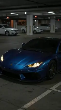 Mini-Launch: Night Sport Car Reveal