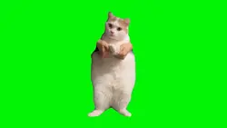 greenscren kucing 