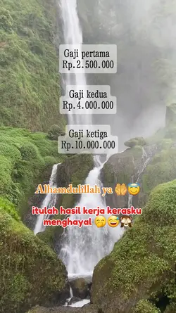 fb pro