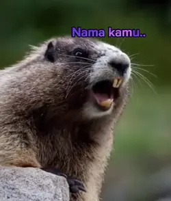tulis nama/apa aja