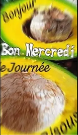 BONNE JOURNEE