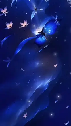 Hiệu ứng đẹp