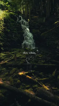 this vibes