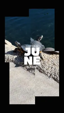 June in frame 2026