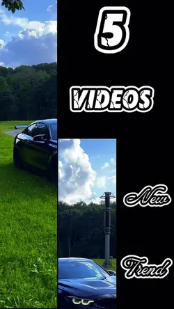 5 clip or photo 