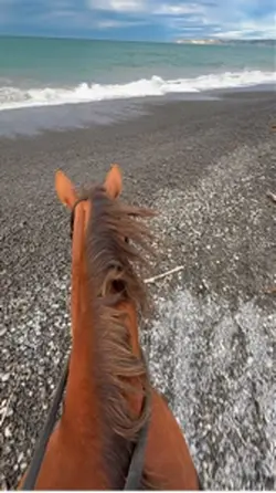 Beach ride ✨