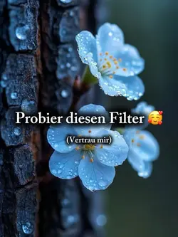 Probier diesenfilter