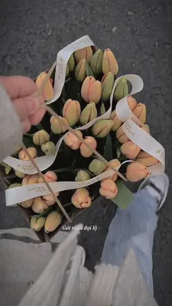 Giã từ 
