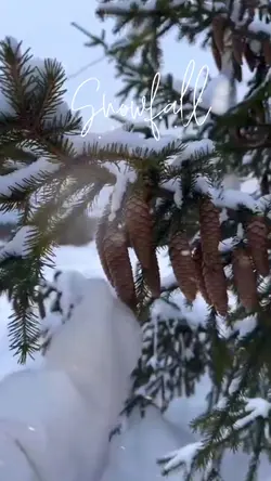 Snowfall